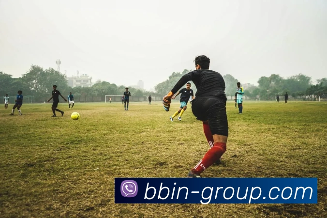 多媒体互动体验